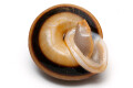 Pleurodonte marginella marginella Cuba adult
